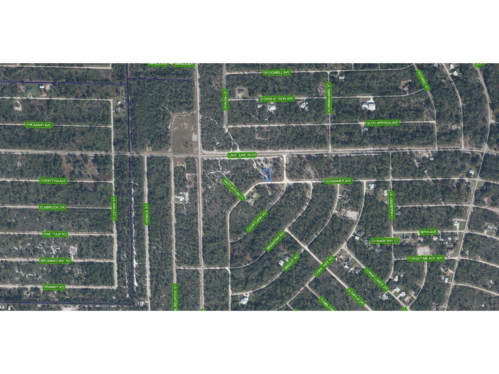 3324 Gossamer Avenue Lake Placid FL 33852 A4695235 image3