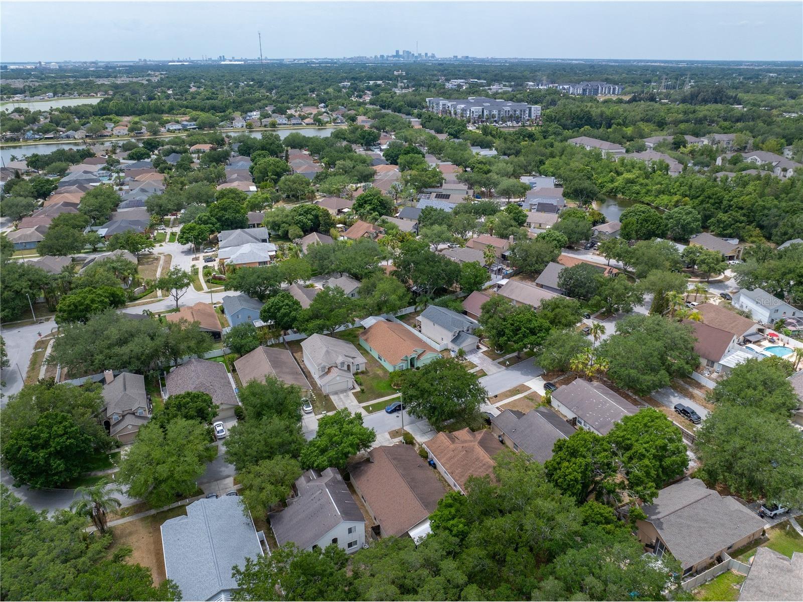 3324 Manor Cove Circle Riverview FL 33578 TB8504445 image47