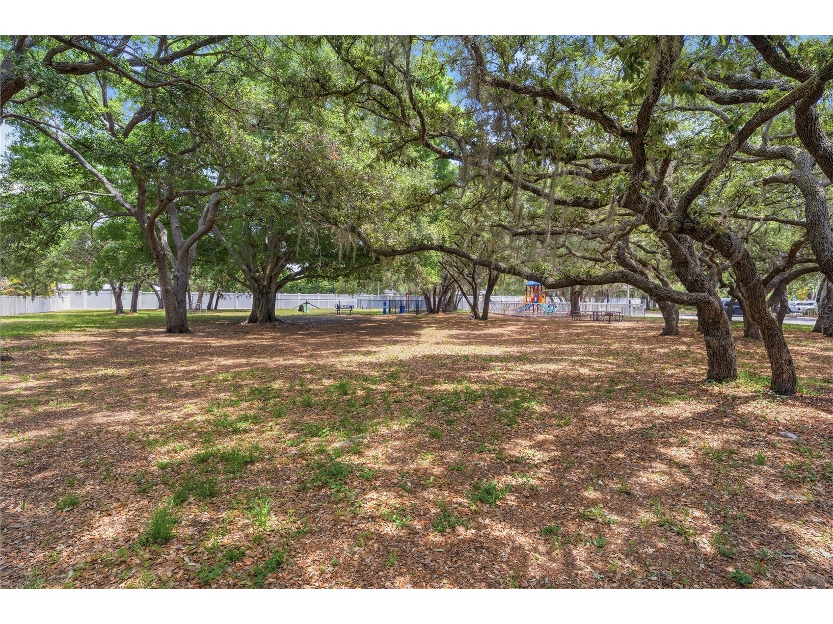3324 Manor Cove Circle Riverview FL 33578 TB8504445 image6