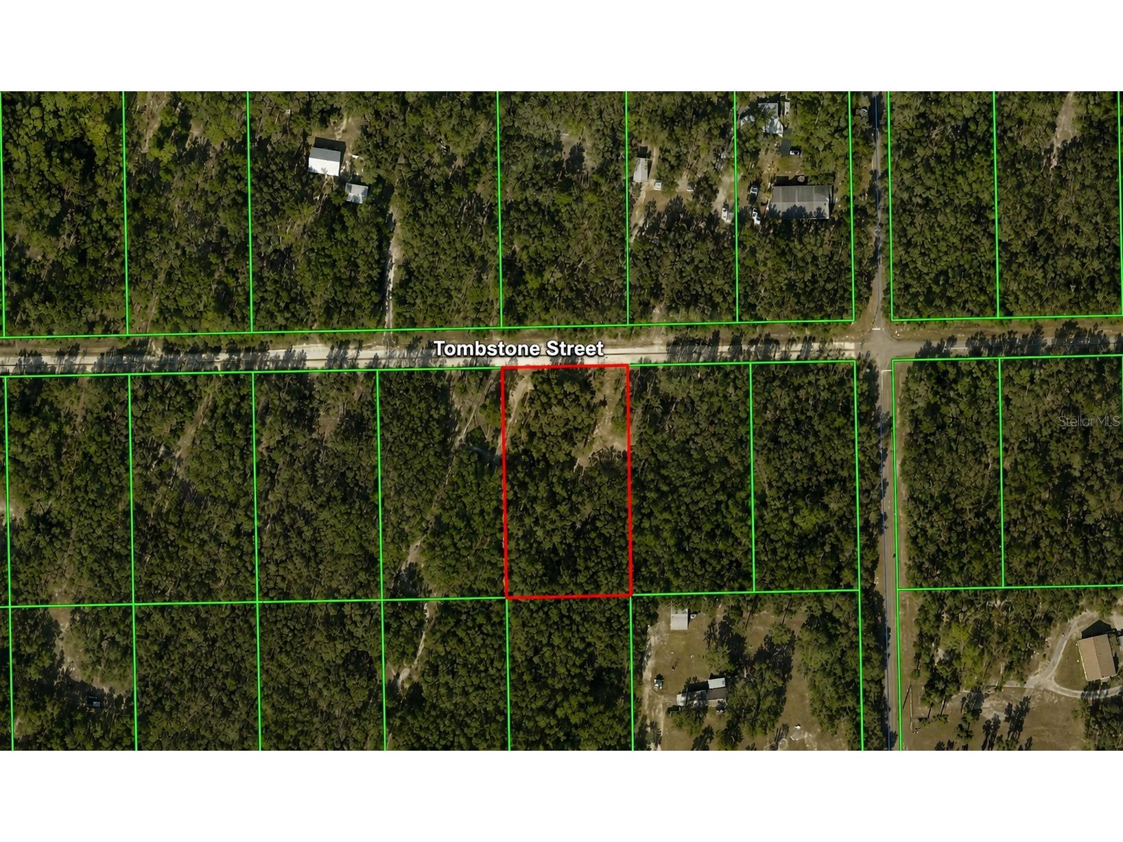 33240 Tombstone Street Webster FL 33597 W7887300 image1