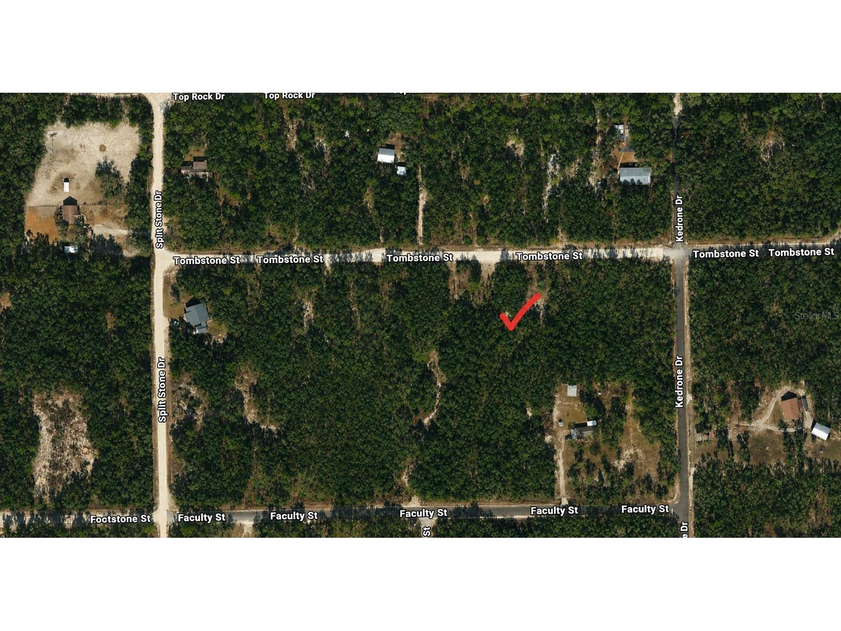 33240 Tombstone Street Webster FL 33597 W7887300 image3