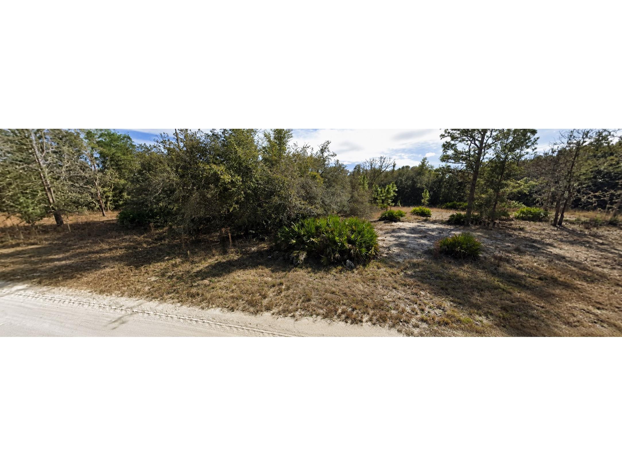 33240 Tombstone Street Webster FL 33597 W7887300 image4
