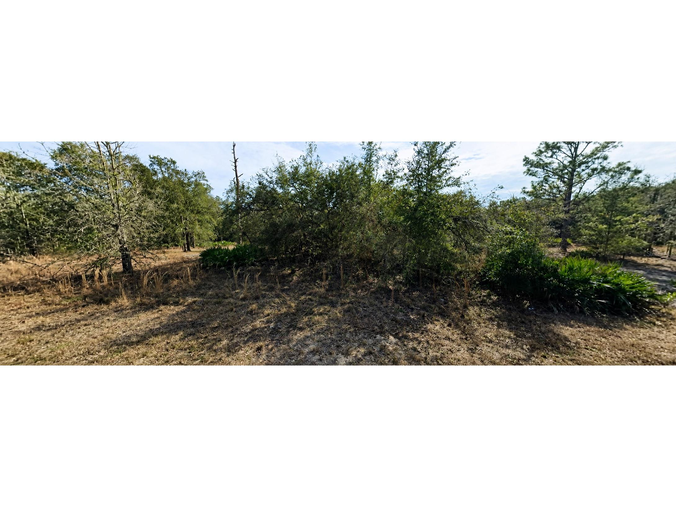 33240 Tombstone Street Webster FL 33597 W7887300 image5