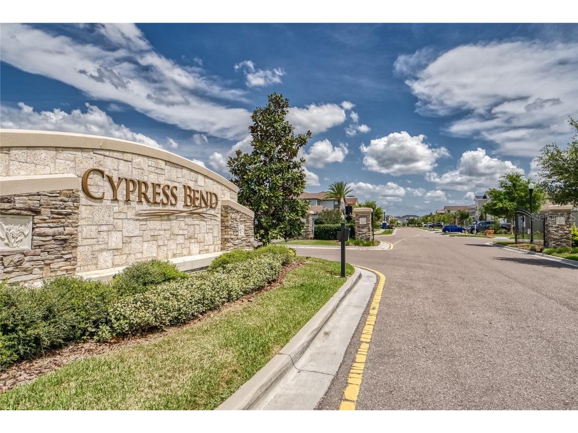 33243 Azalea Ridge Drive Wesley Chapel FL 33545 T3459462 image1