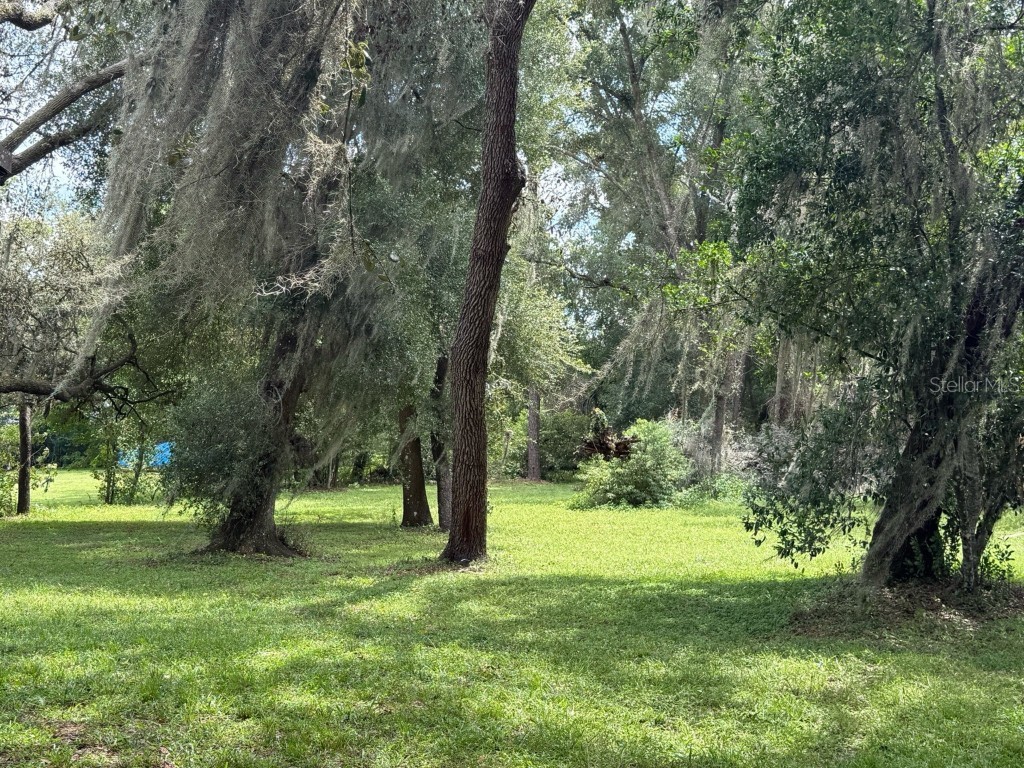 33248 Ridge Manor Boulevard Dade City FL 33523 O6338978 image18