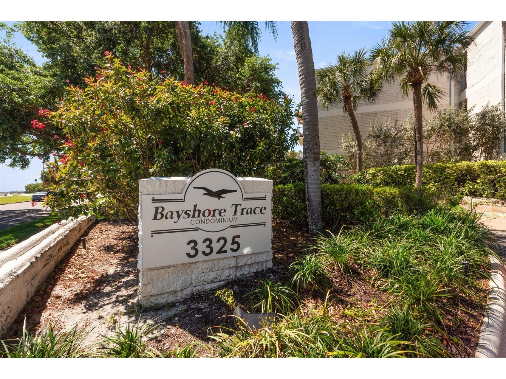 3325 Bayshore Boulevard #D11 Tampa FL 33629 TB8498518 image1