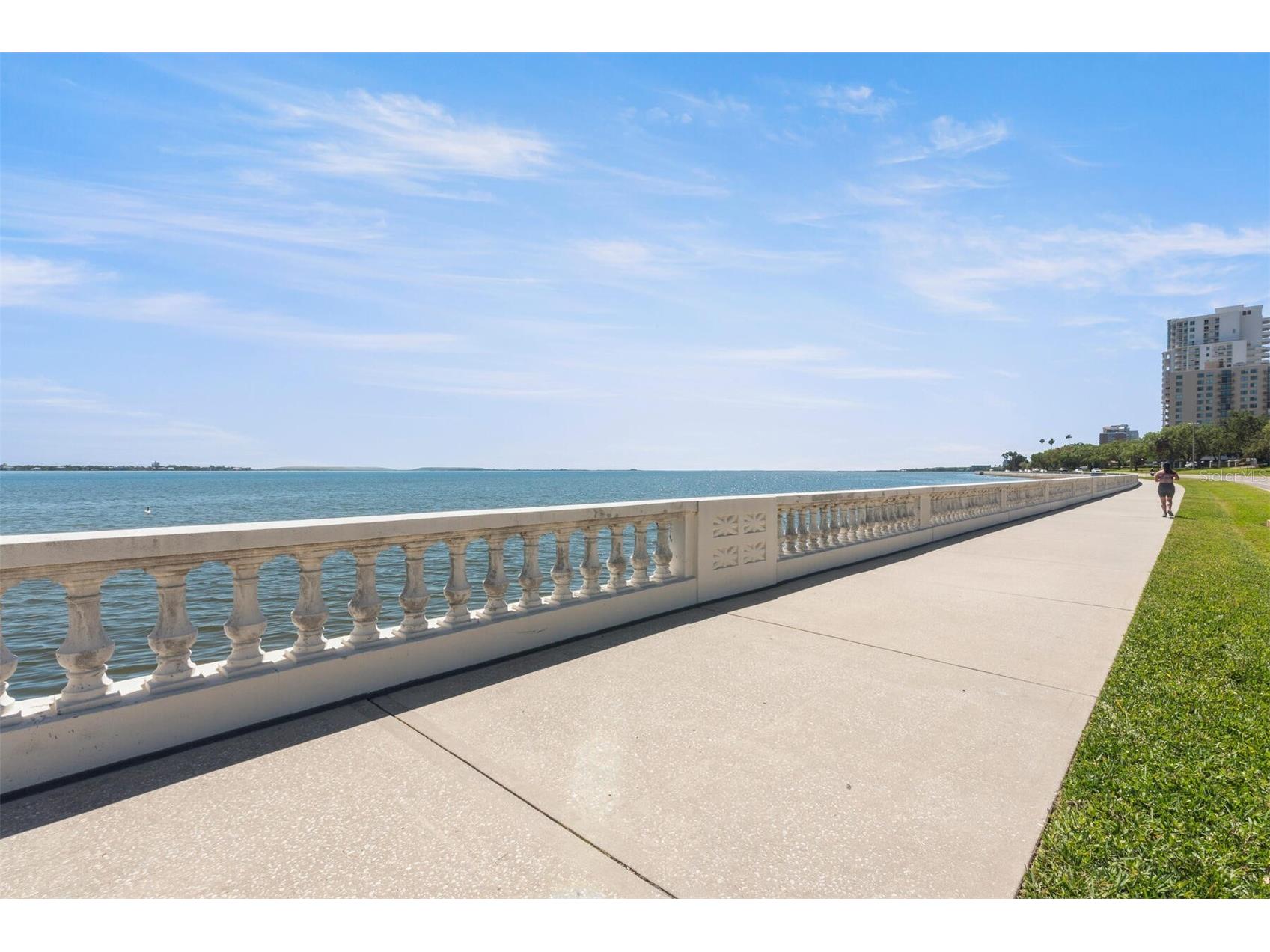 3325 Bayshore Boulevard #D11 Tampa FL 33629 TB8498518 image10