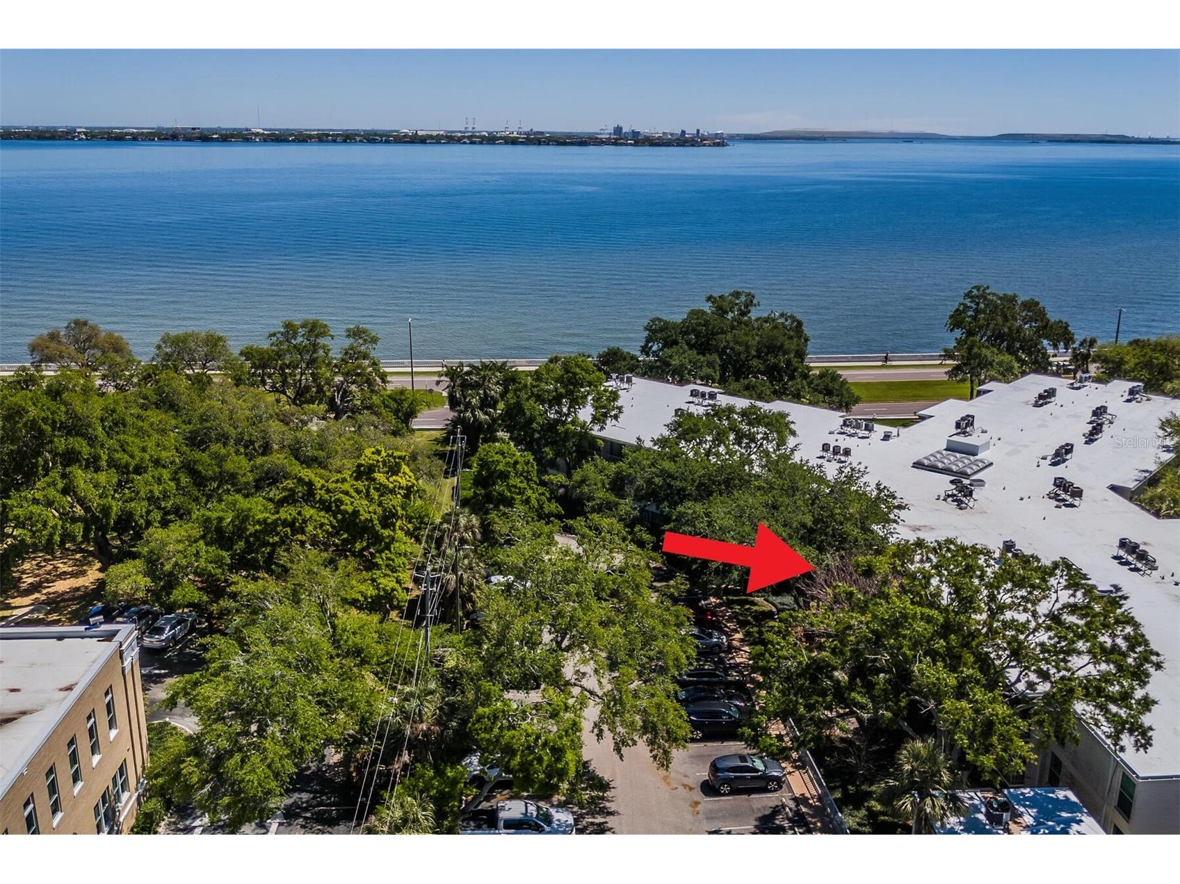 3325 Bayshore Boulevard #D11 Tampa FL 33629 TB8498518 image13