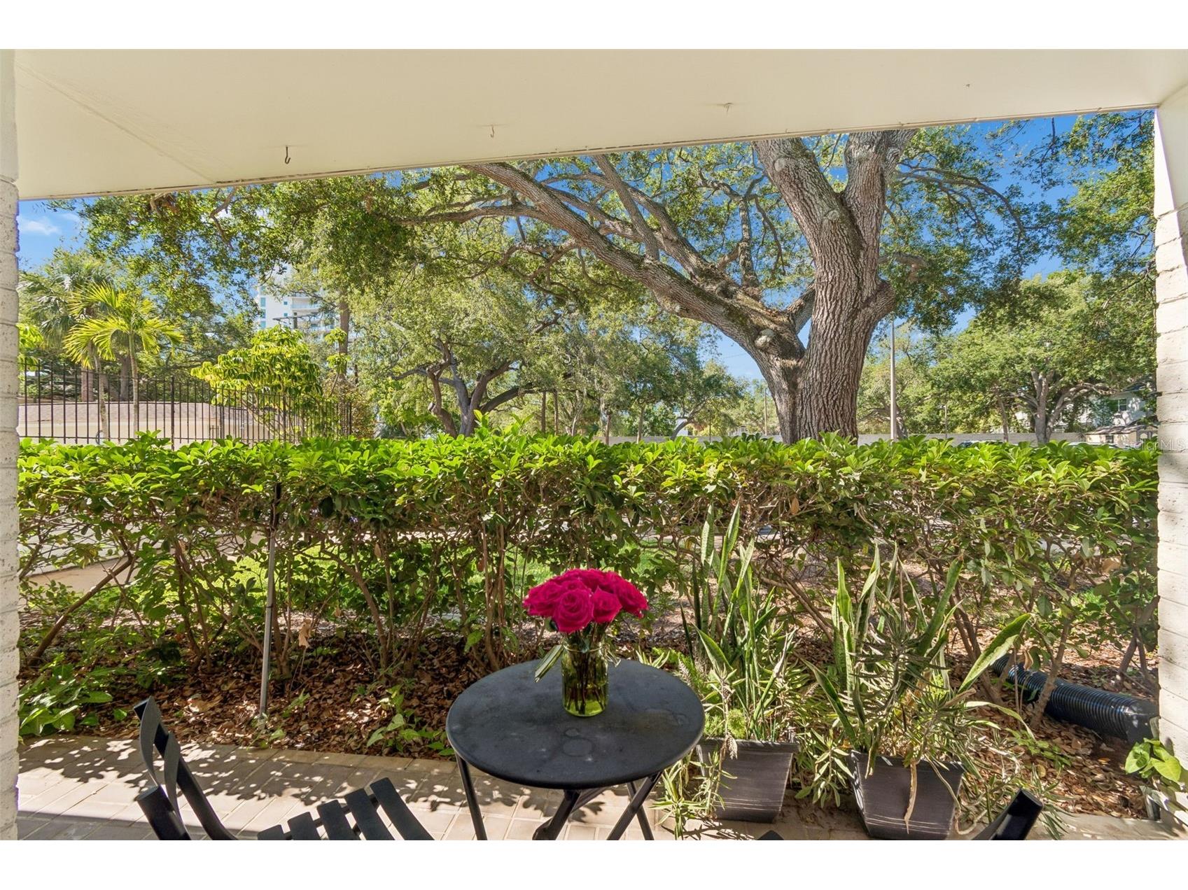 3325 Bayshore Boulevard #D14 A Tampa FL 33629 TB8505527 image17