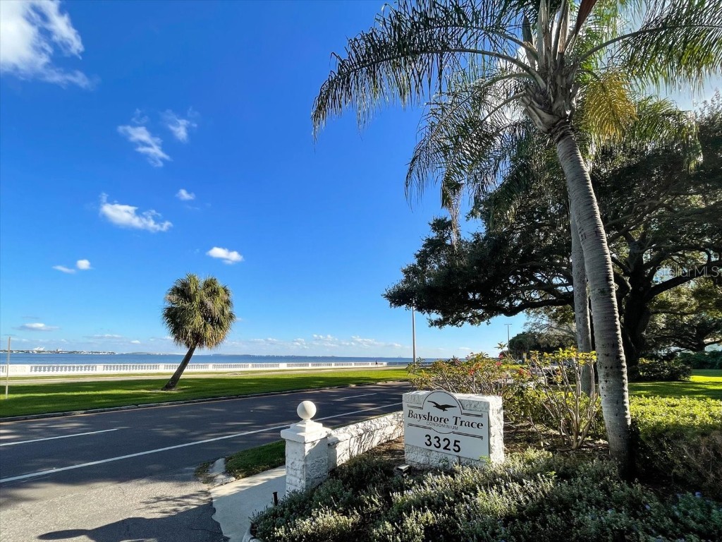 3325 Bayshore Boulevard #E13 Tampa FL 33629 T3349224 image1