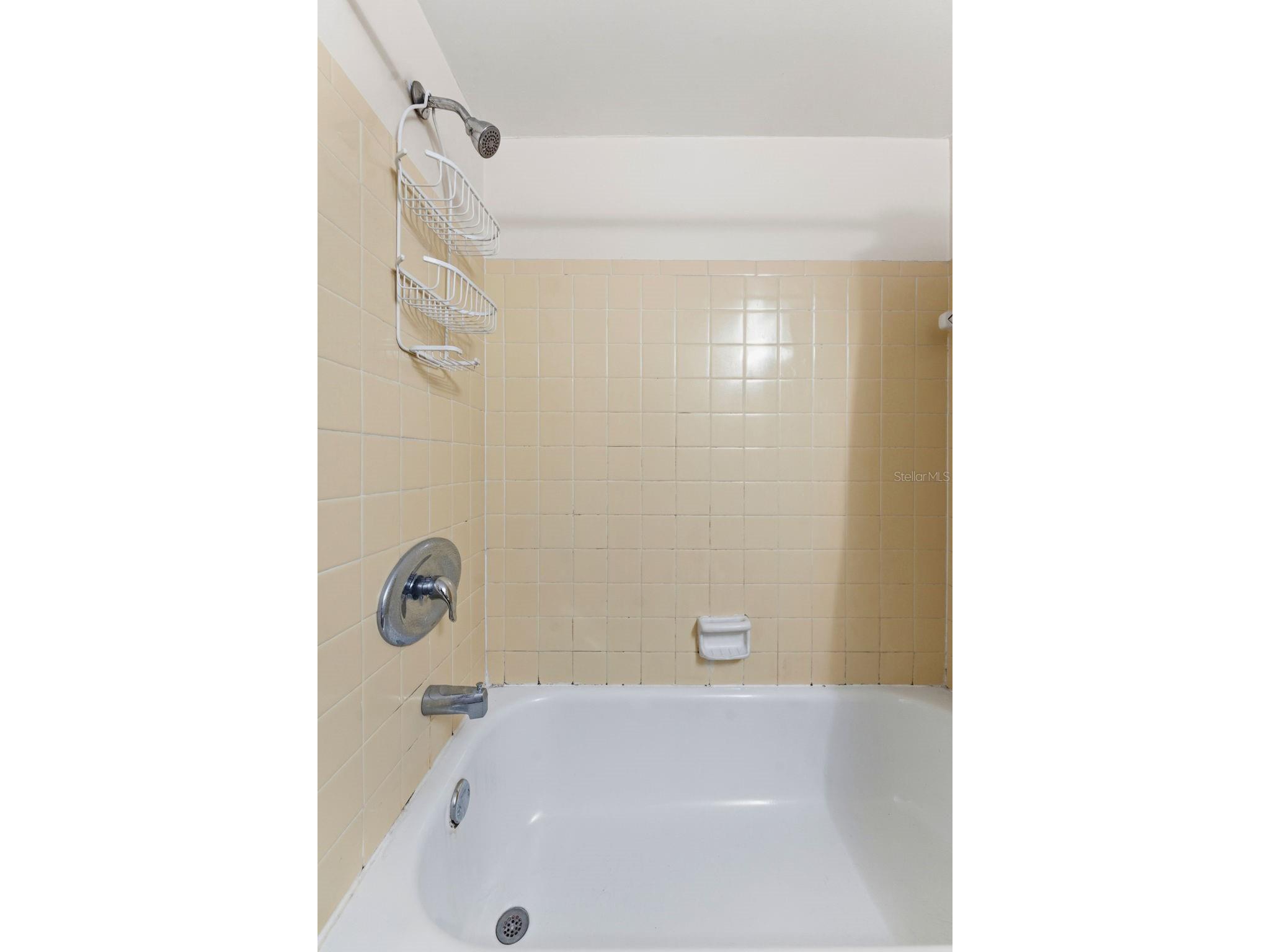 3325 Bayshore Boulevard #E22 Tampa FL 33629 TB8500148 image23