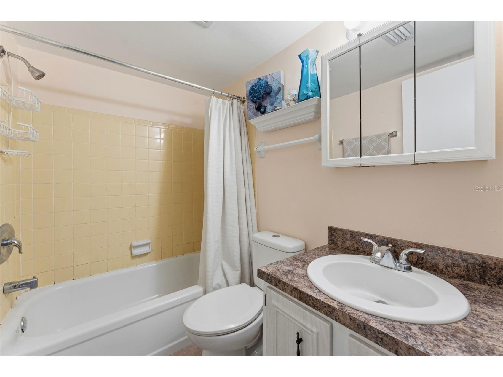 3325 Bayshore Boulevard #E22 Tampa FL 33629 TB8500148 image24
