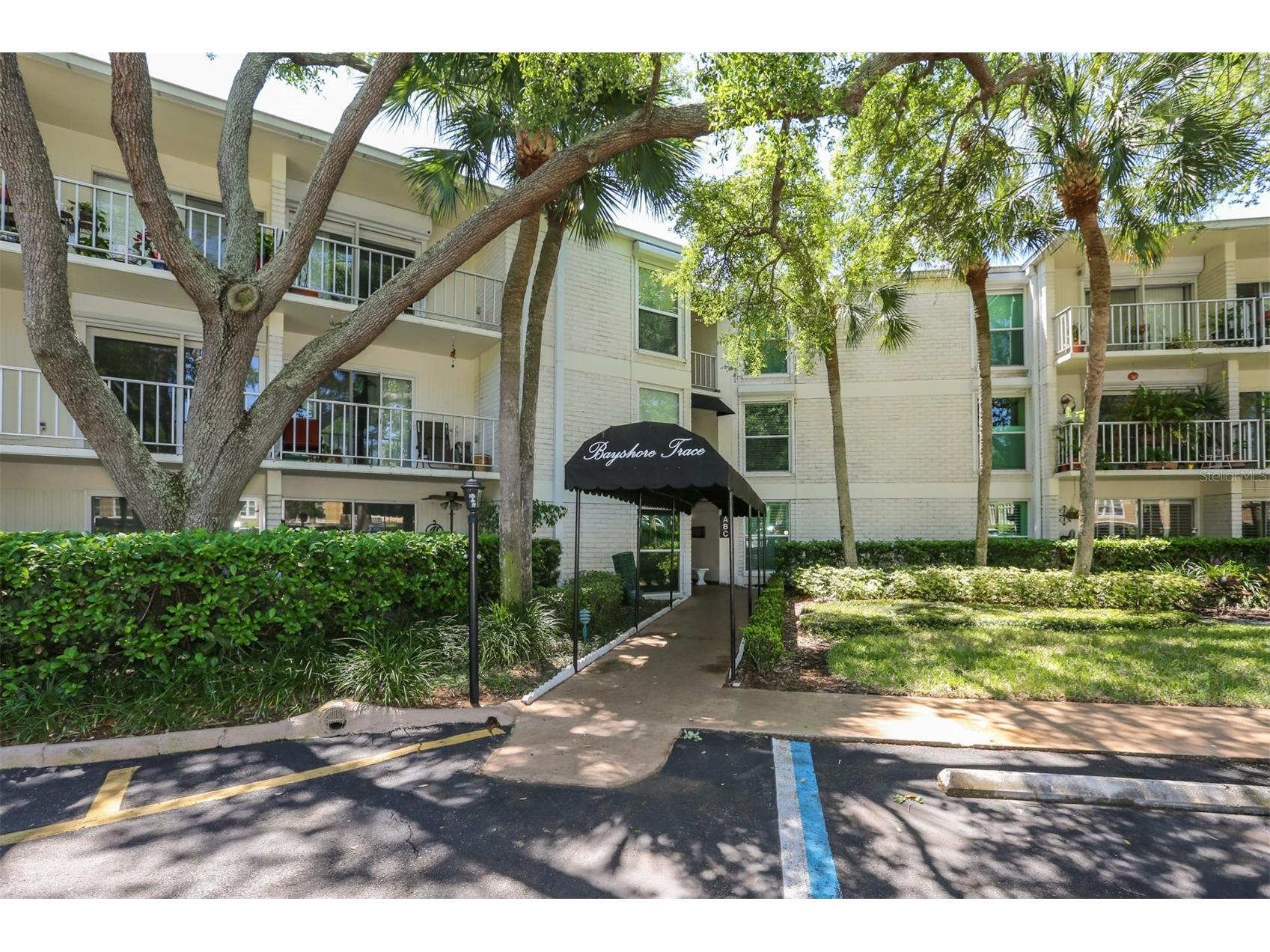 3325 Bayshore Boulevard #E34 Tampa FL 33629 TB8498468 image1