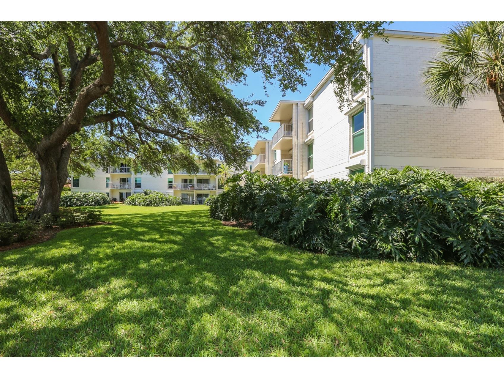 3325 Bayshore Boulevard #E34 Tampa FL 33629 TB8498468 image22