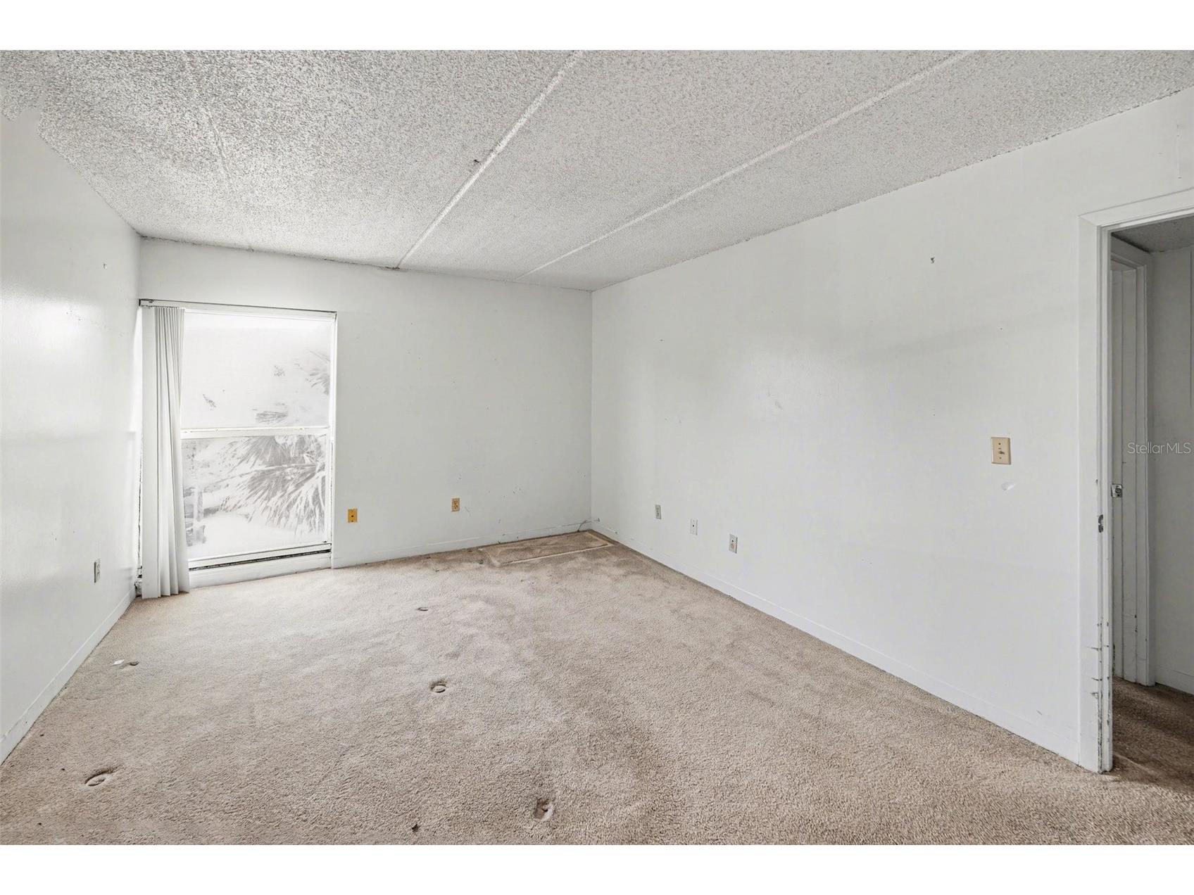 3325 Bayshore Boulevard #F36 Tampa FL 33629 TB8499555 image10