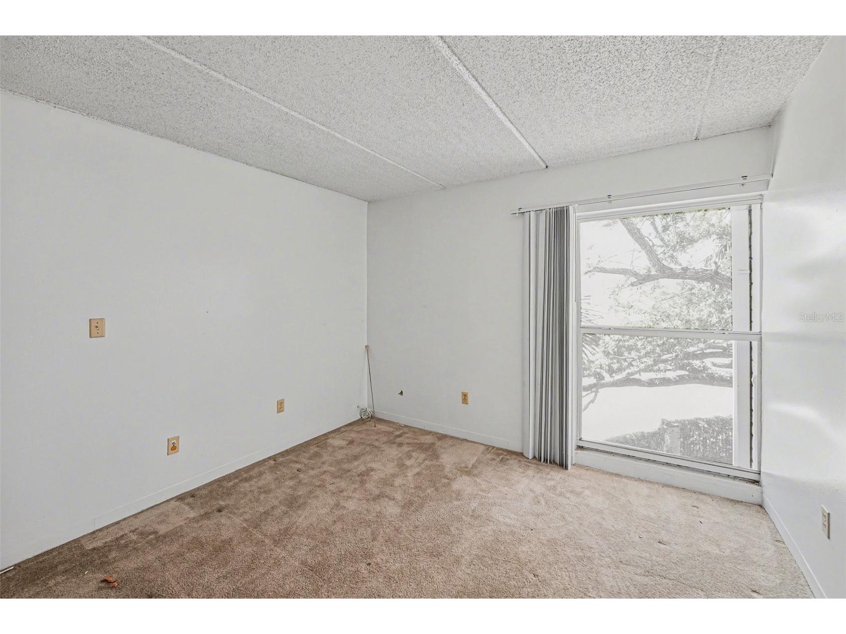 3325 Bayshore Boulevard #F36 Tampa FL 33629 TB8499555 image11