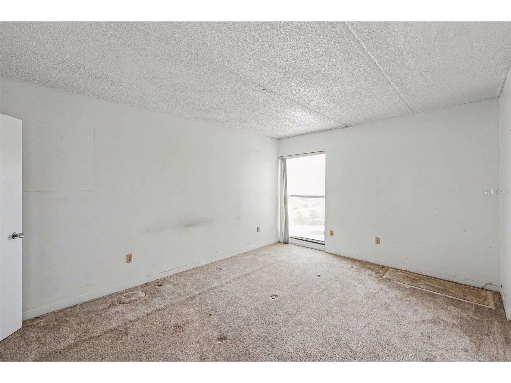 3325 Bayshore Boulevard #F36 Tampa FL 33629 TB8499555 image12