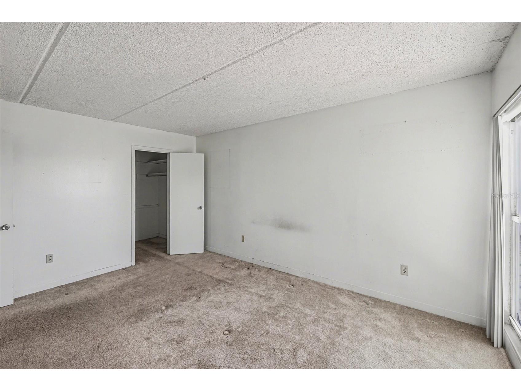 3325 Bayshore Boulevard #F36 Tampa FL 33629 TB8499555 image13