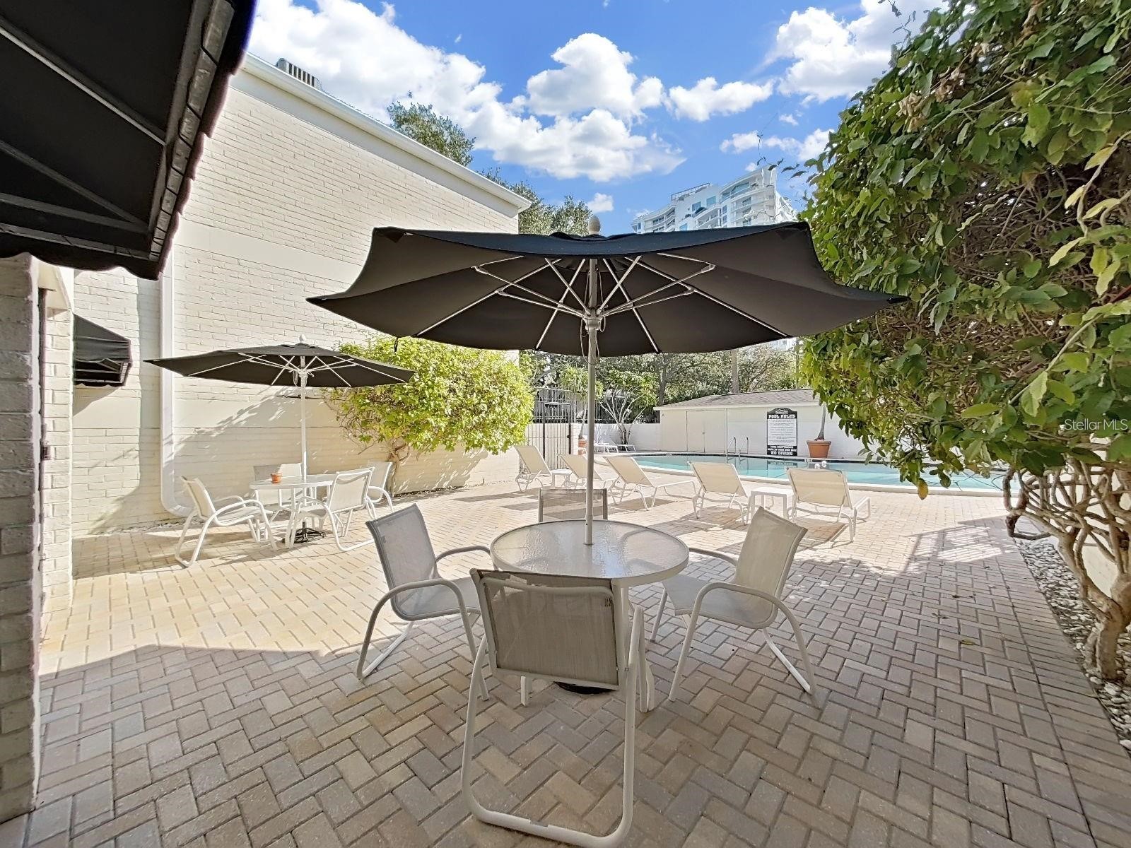 3325 Bayshore Boulevard #F36 Tampa FL 33629 TB8499555 image22