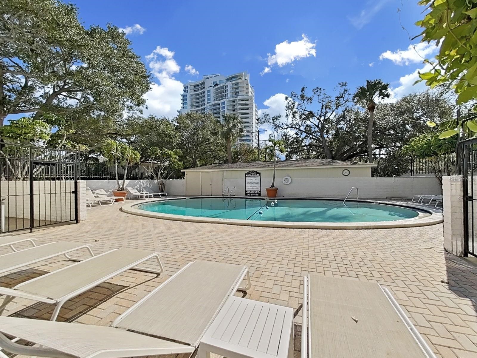 3325 Bayshore Boulevard #F36 Tampa FL 33629 TB8499555 image24