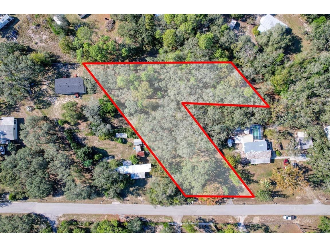 3325 Keye Drive Spring Hill FL 34606 TB8443758 image1