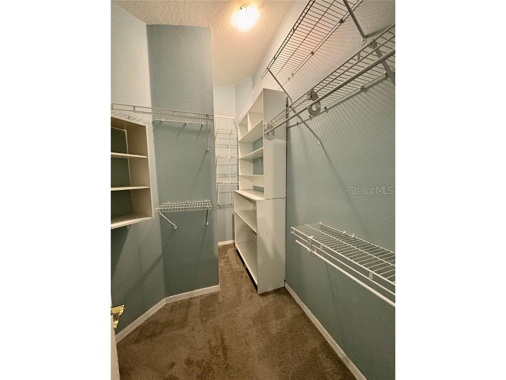 3325 Manor Cove Circle Riverview FL 33578 TB8434275 image17