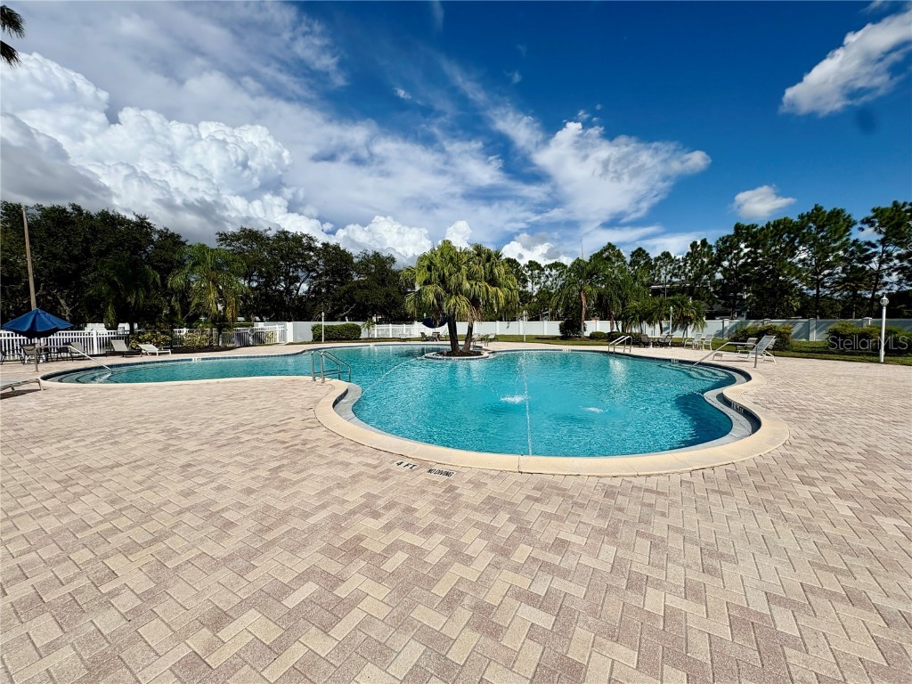 3325 Manor Cove Circle Riverview FL 33578 TB8434275 image31