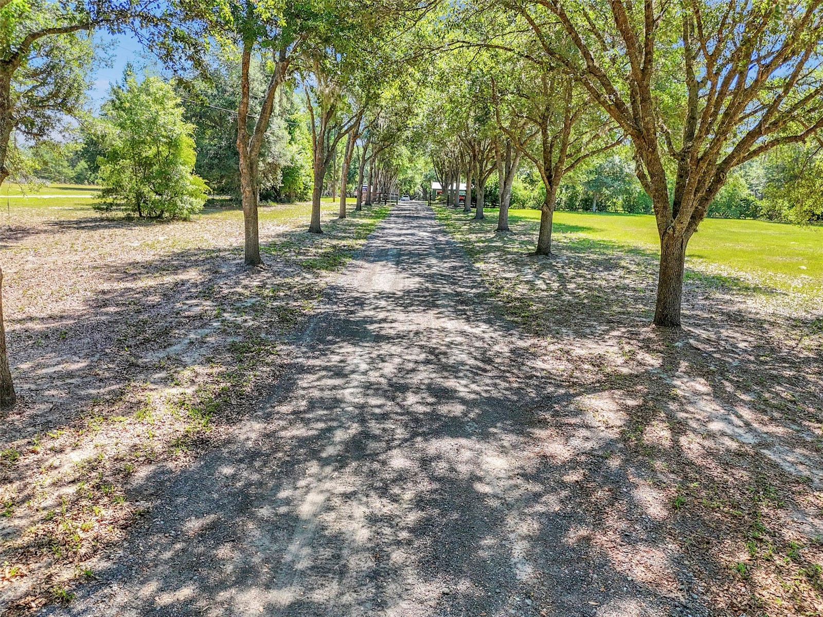 3325 S Hwy 314a Ocklawaha FL 32179 OM724052 image11