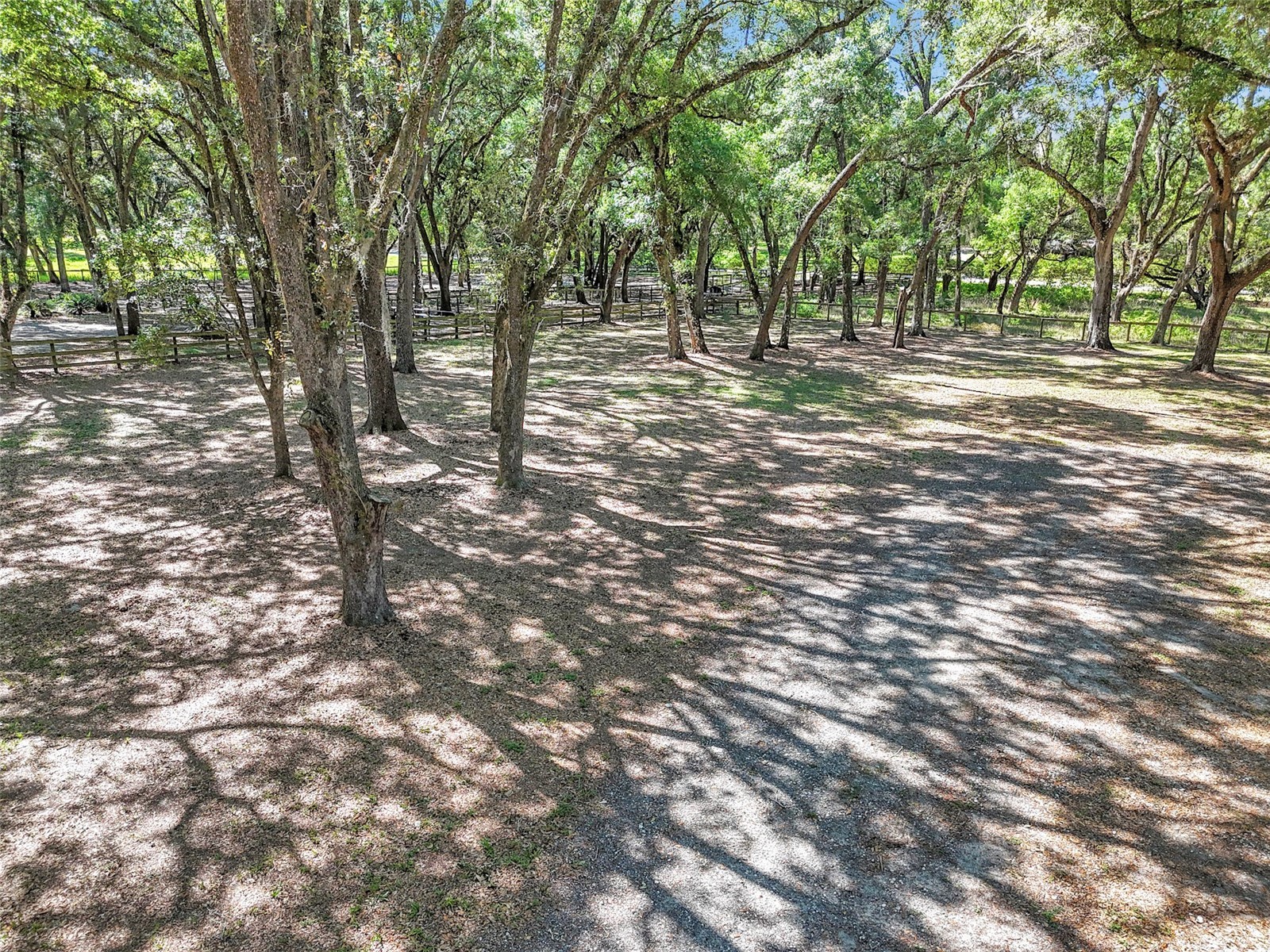 3325 S Hwy 314a Ocklawaha FL 32179 OM724052 image16