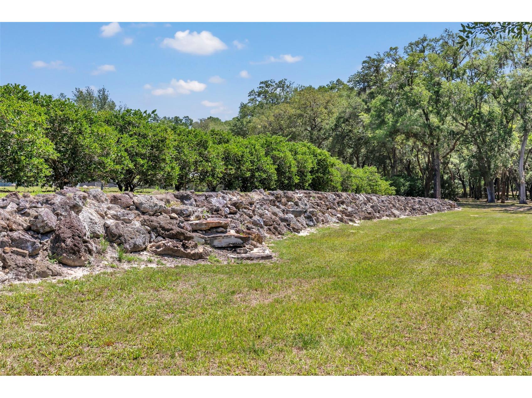 3325 S Hwy 314a Ocklawaha FL 32179 OM724052 image48