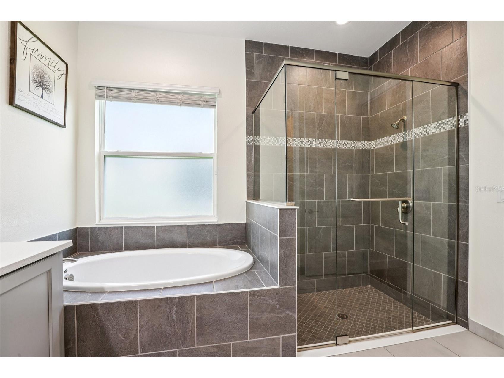 3326 Acacia Bay Avenue Wesley Chapel FL 33543 TB8485507 image17