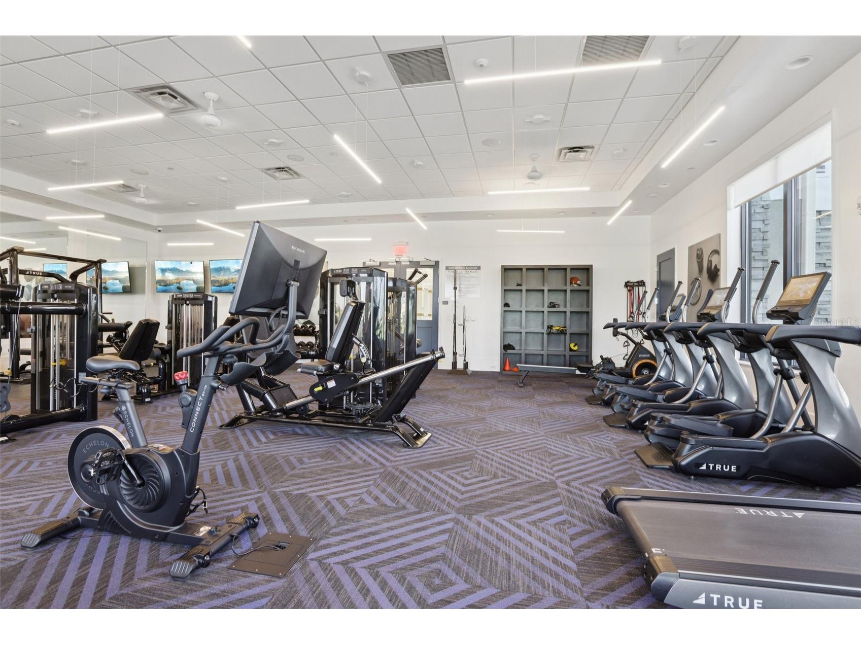 3326 Acacia Bay Avenue Wesley Chapel FL 33543 TB8485507 image43