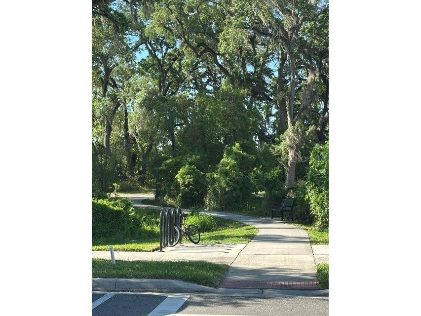 3326 Azolla Street Orlando FL 32808 S5148435 image50