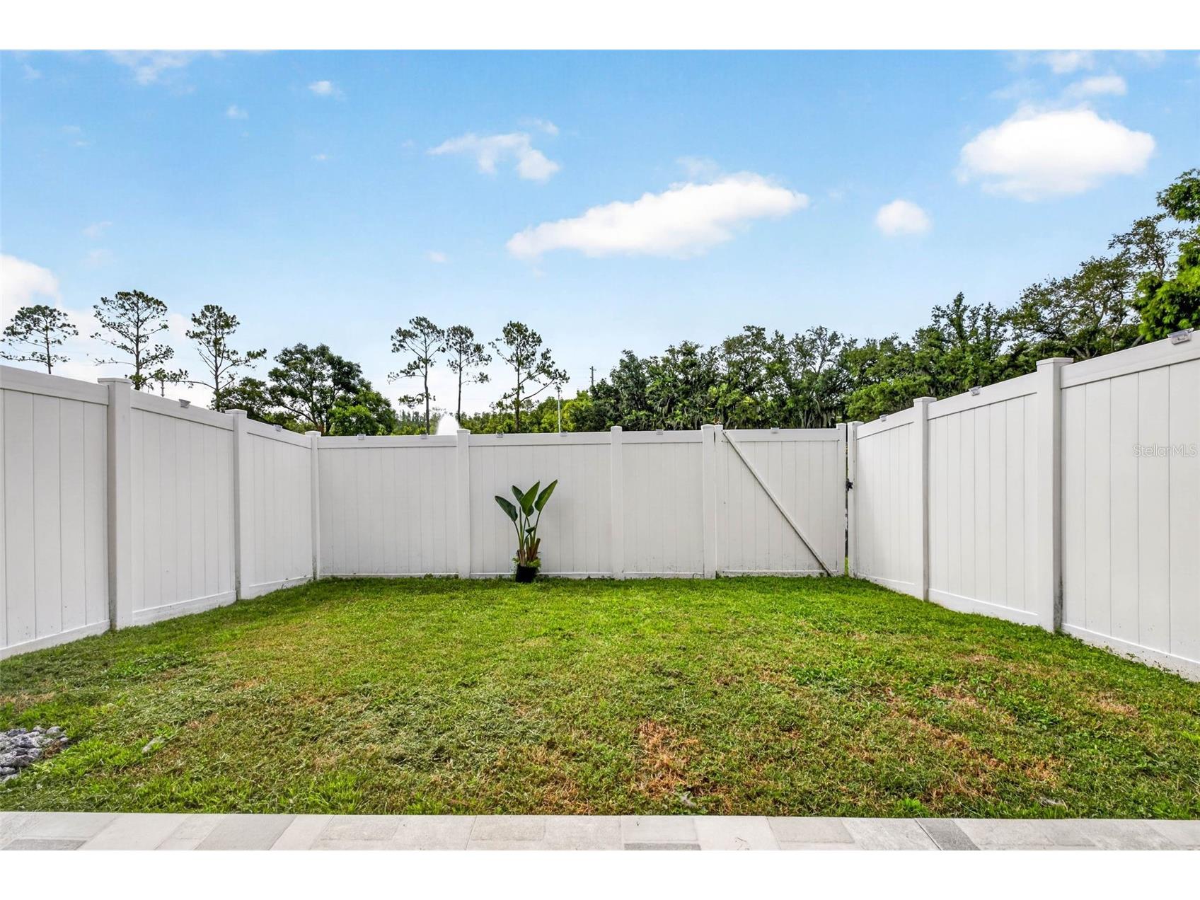 3326 Broken Bow Drive Land O Lakes FL 34639 TB8523407 image36