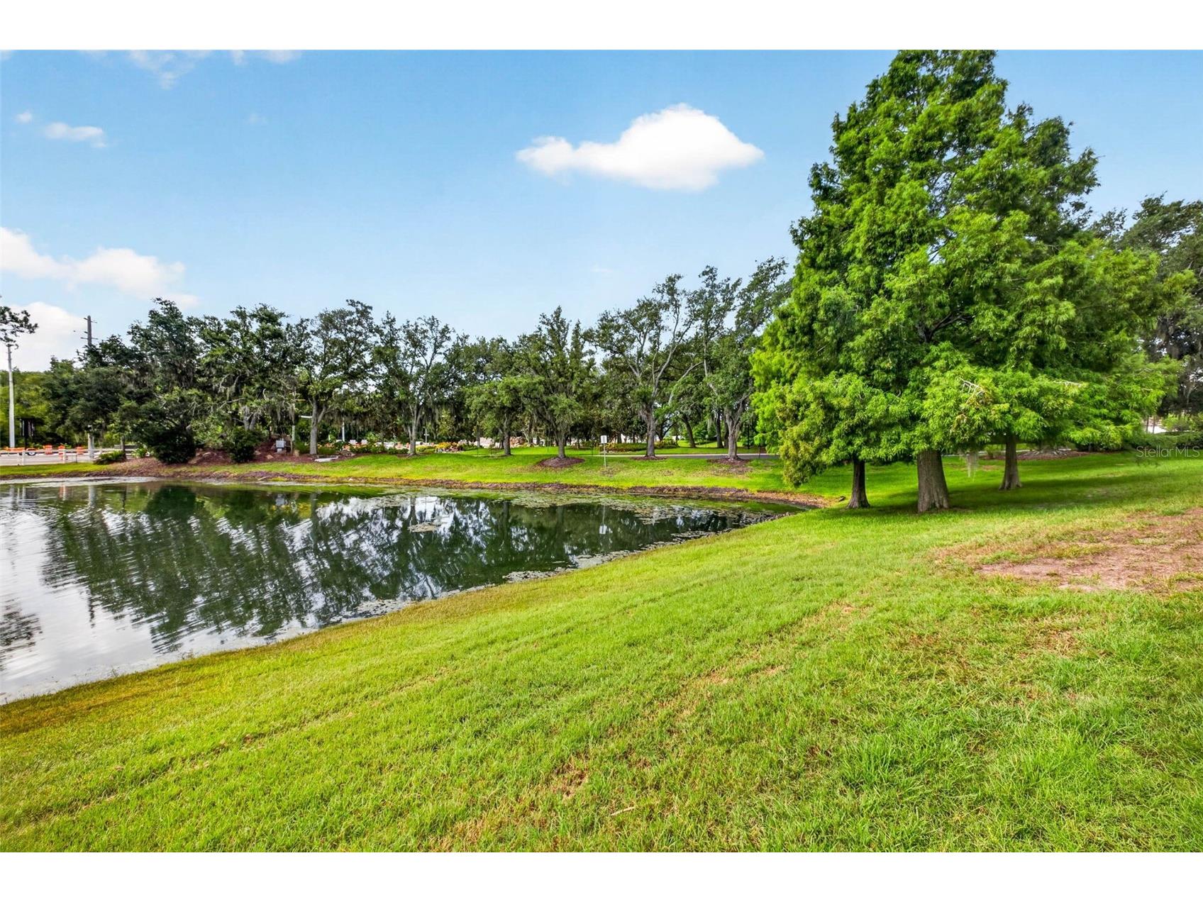 3326 Broken Bow Drive Land O Lakes FL 34639 TB8523407 image37