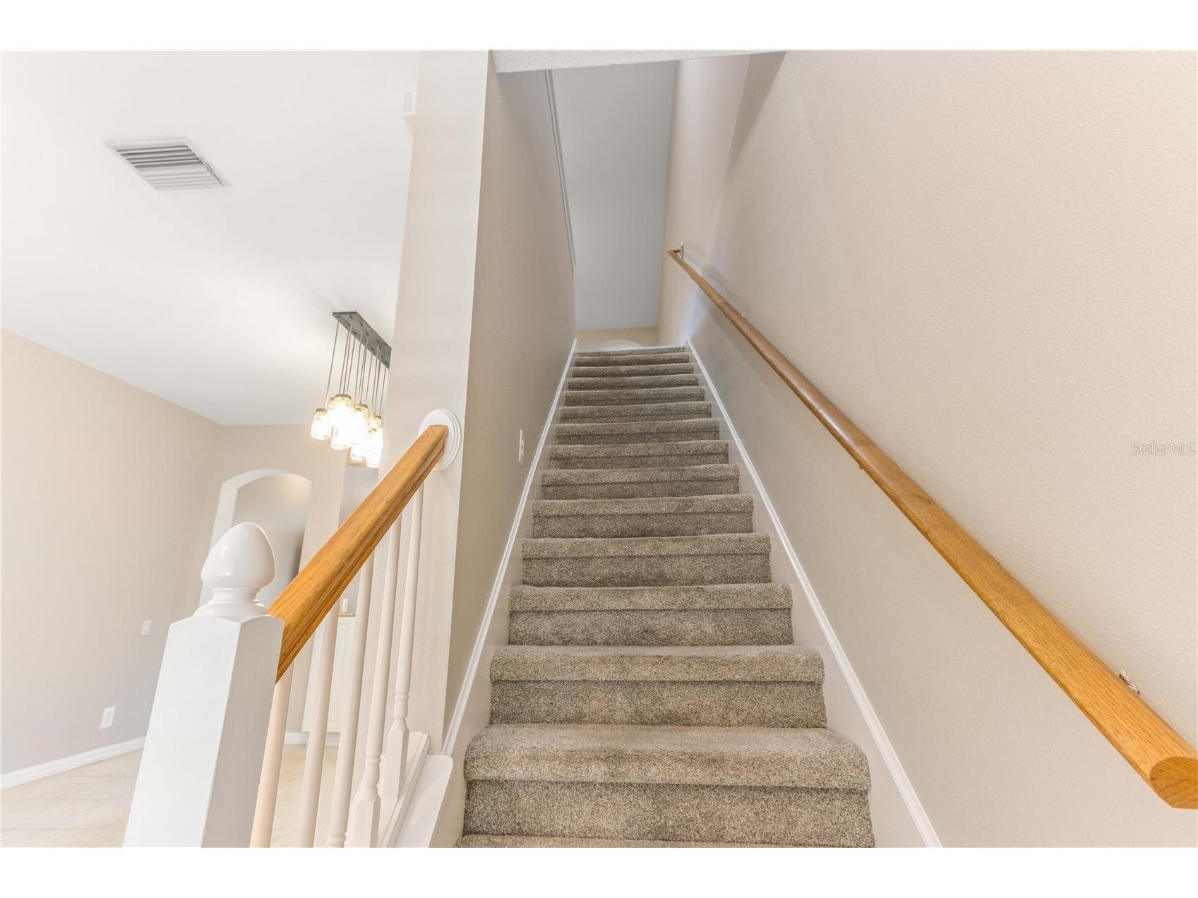 3326 Covered Bridge Drive W Dunedin FL 34698 TB8505521 image19
