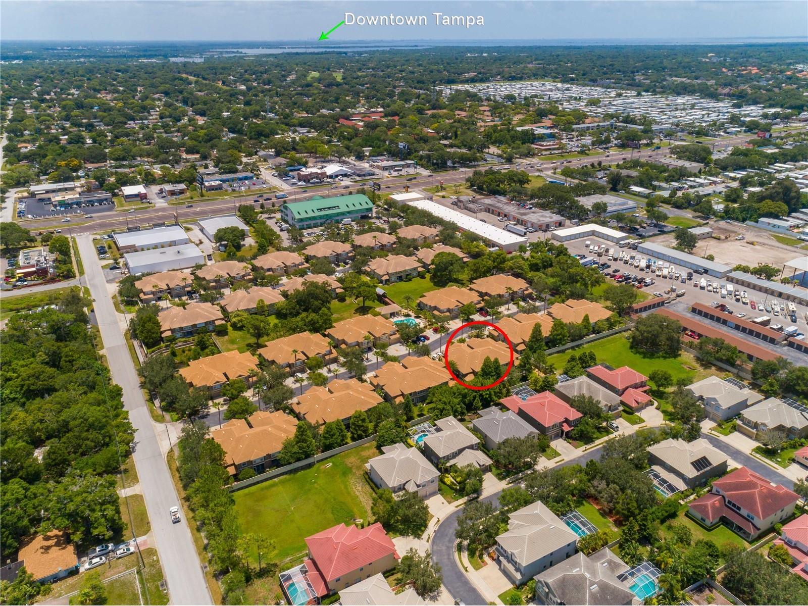 3326 Covered Bridge Drive W Dunedin FL 34698 TB8505521 image52