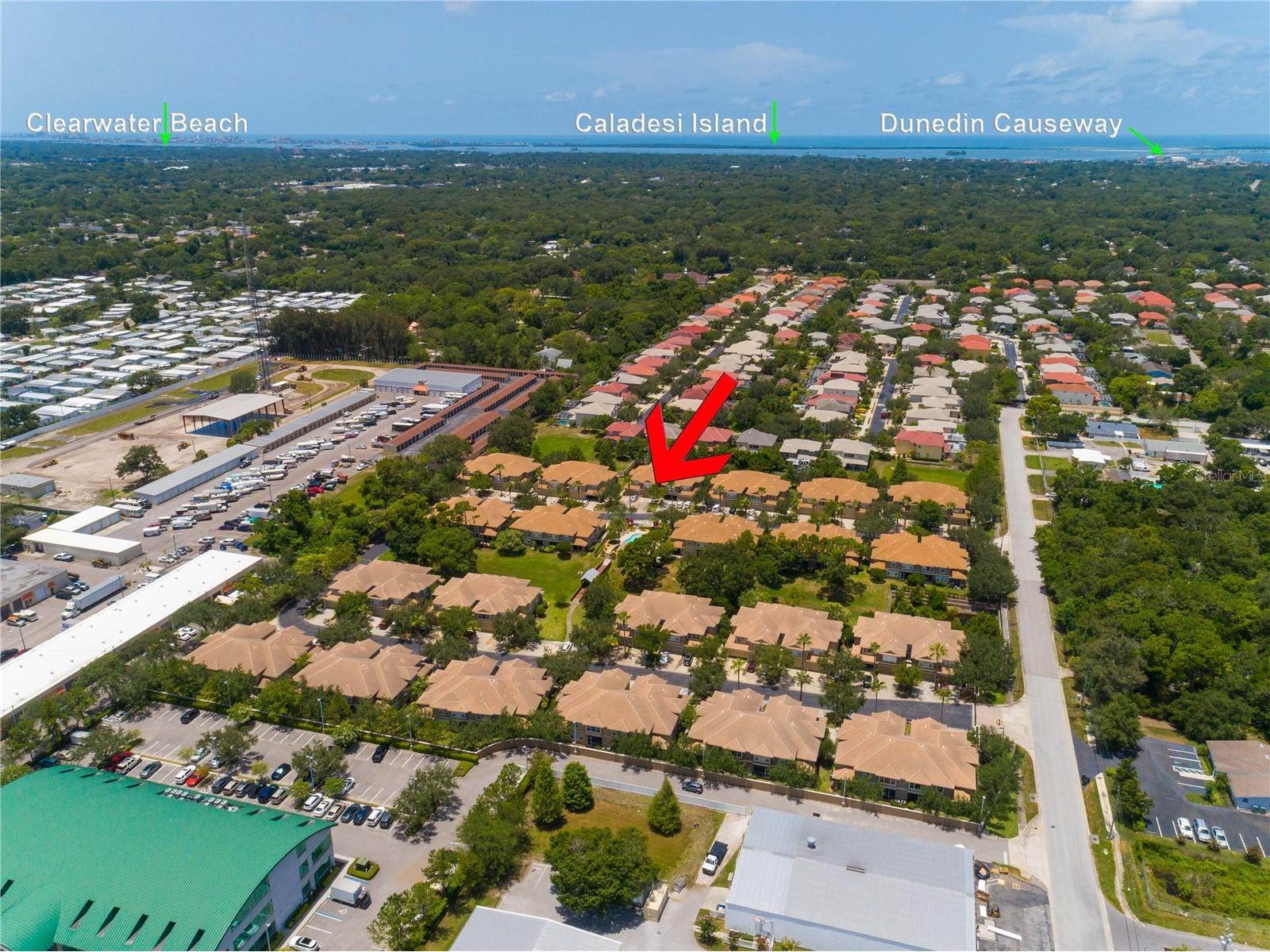 3326 Covered Bridge Drive W Dunedin FL 34698 TB8505521 image53