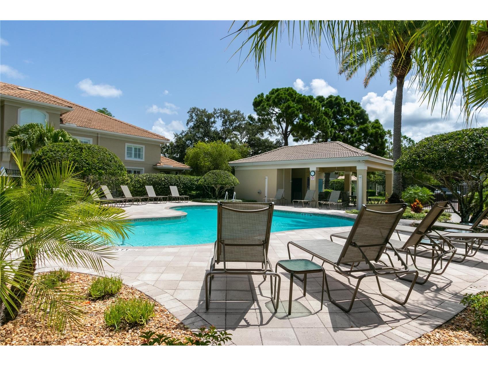 3326 Covered Bridge Drive W Dunedin FL 34698 TB8505521 image55