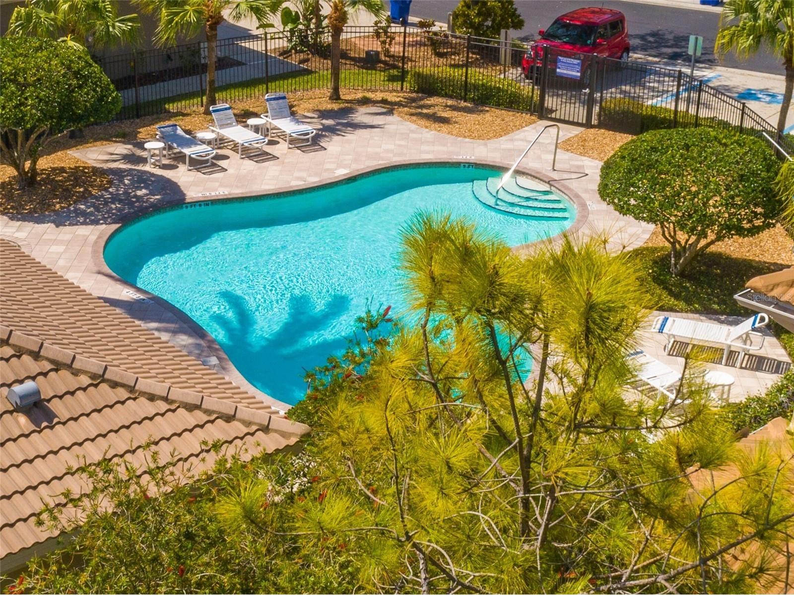 3326 Covered Bridge Drive W Dunedin FL 34698 TB8505521 image56