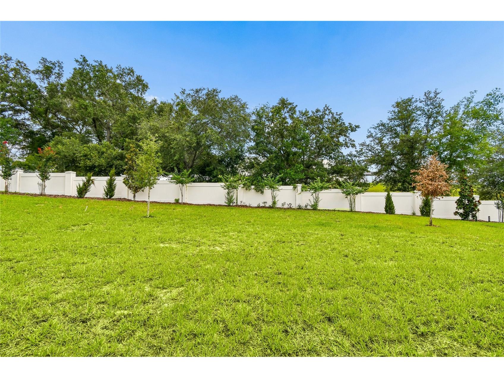 3326 Wolf Lake Avenue Apopka FL 32712 O6355342 image28