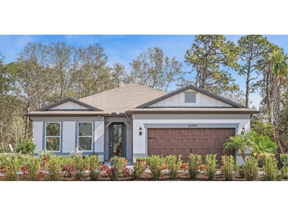 33268 Barnebrook Drive Wesley Chapel FL 33545 J995151 image1