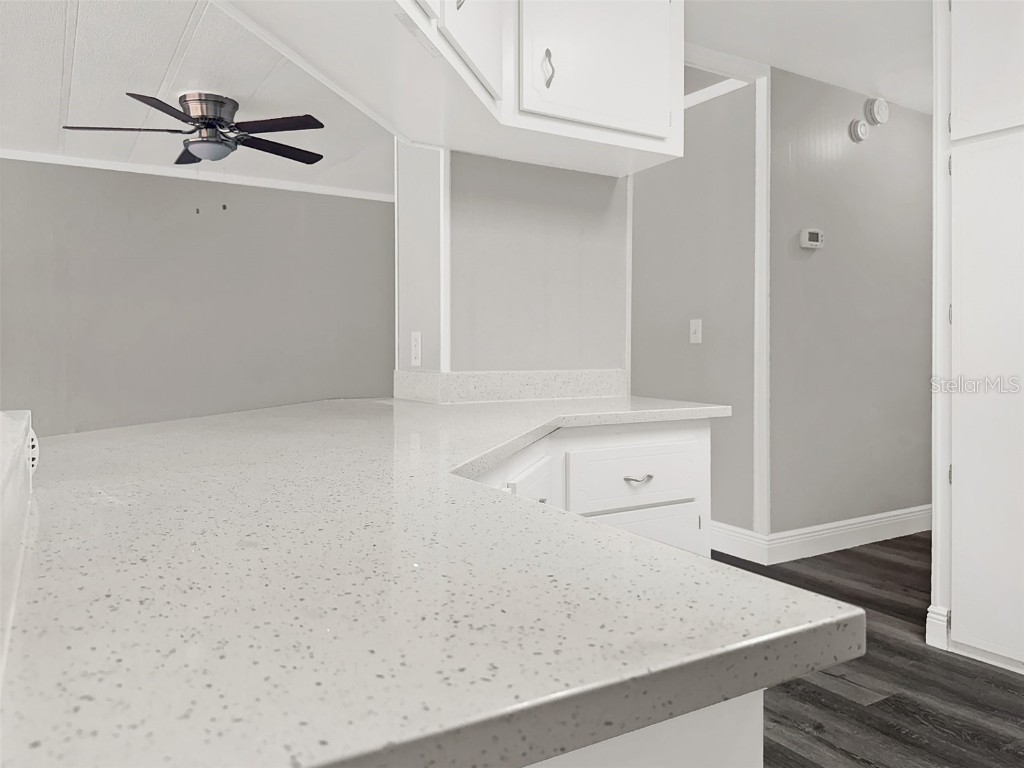 3327 S Citrus Circle Zellwood FL 32798 S5127075 image12