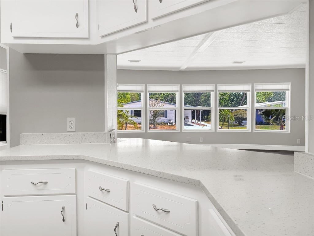 3327 S Citrus Circle Zellwood FL 32798 S5127075 image16