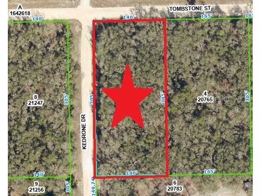 33278 Tombstone Street Webster FL 33597 C7474886 image1