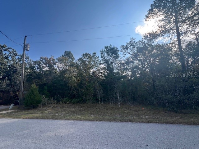 3328 Horseshoe Ln Spring Hill FL 34606 TB8450947 image1