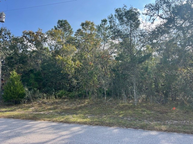 3328 Horseshoe Ln Spring Hill FL 34606 TB8450947 image4