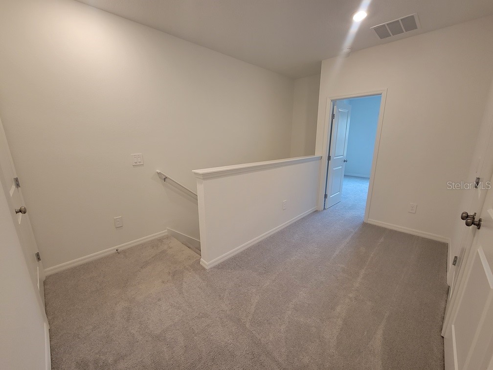3328 Lapis Lake Drive Zephyrhills FL 33541 W7886589 image12