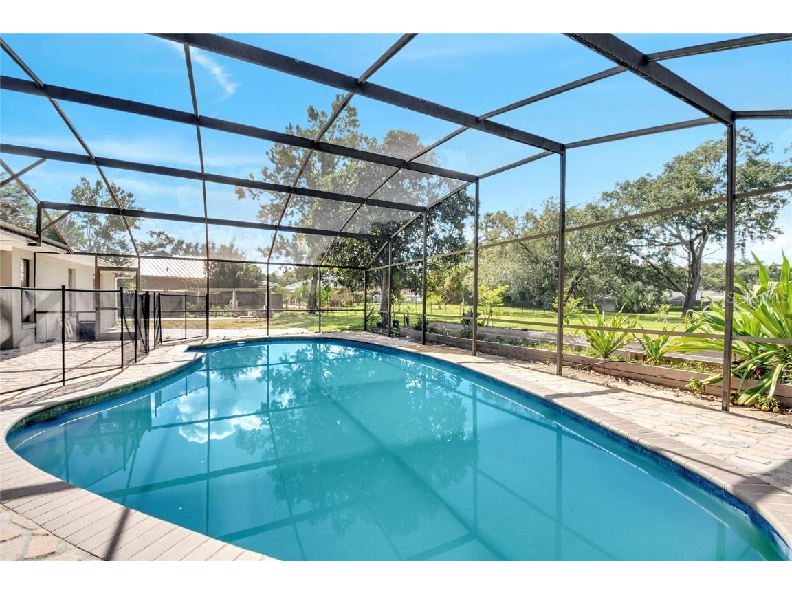 3328 Wax Berry Court Windermere FL 34786 - BUTLER CHAIN OF LAKES O6355868 image3