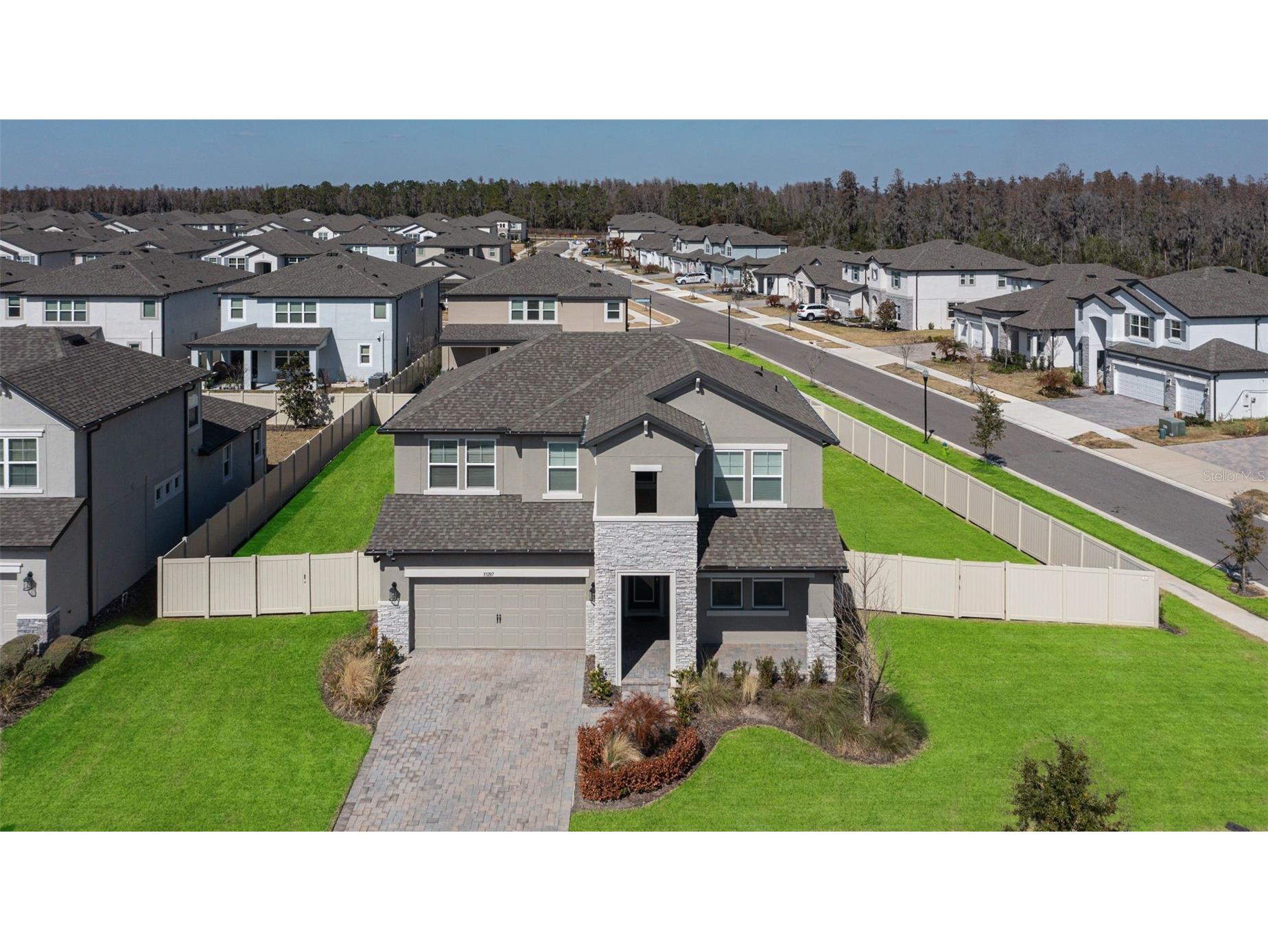 33287 Sycamore Leaf Drive Wesley Chapel FL 33545 TB8477200 image1
